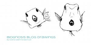 Biognosis Blog Drawings (c) Diana Sabrina Bachler