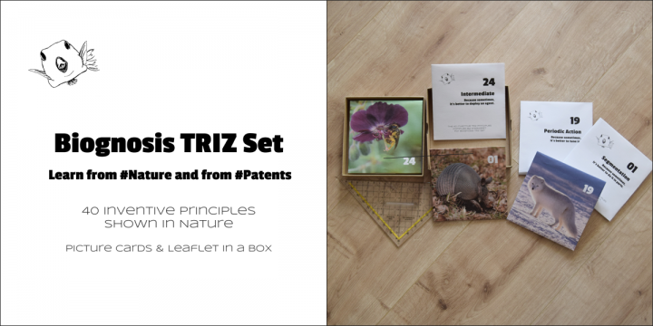 Biognosis TRIZ Set prototype cards & content description