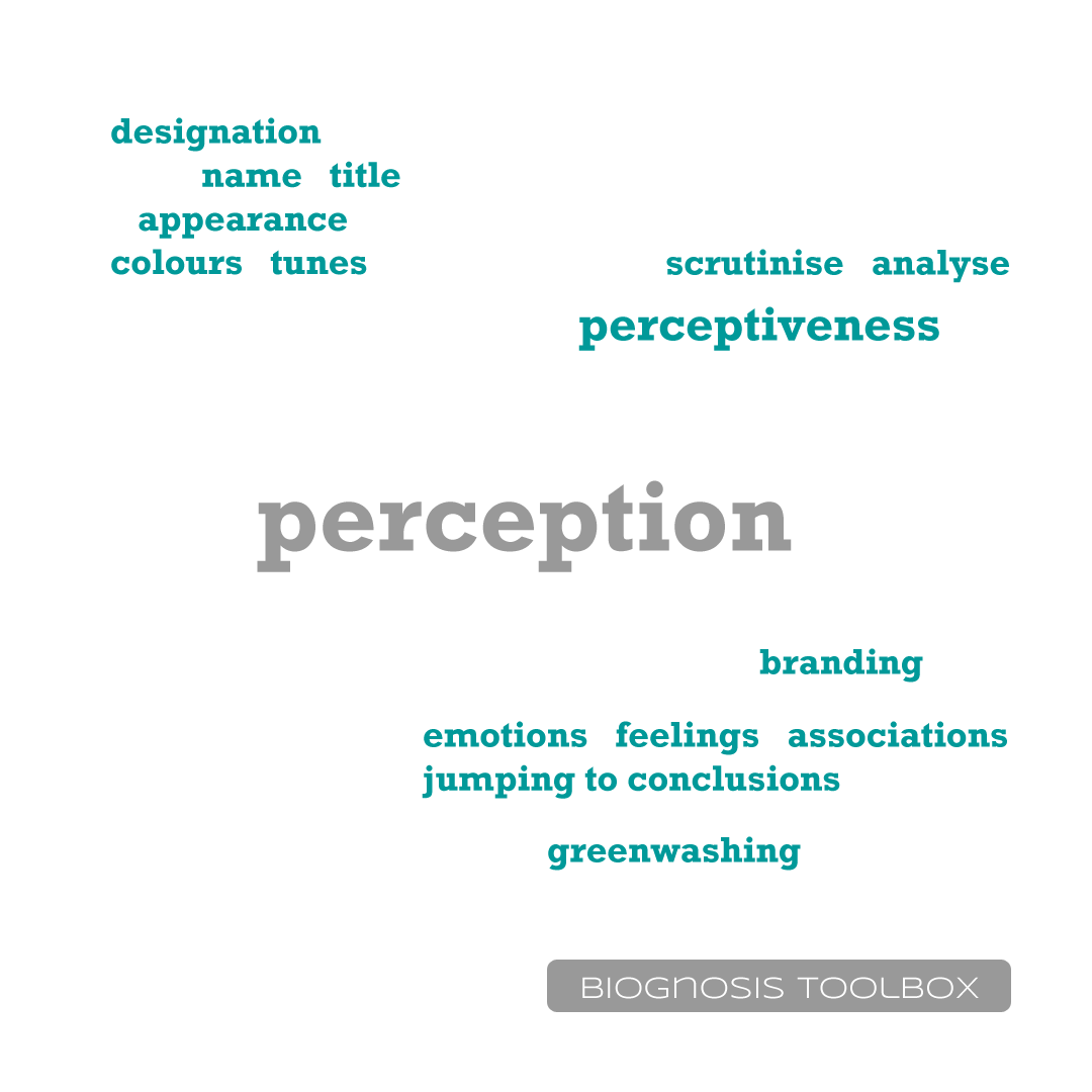A word cloud, describing perception.